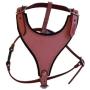 Leather Dog Harness, Felt Padded, Small, Pink, Argentinean Leather (Malibu) For Small breeds. Neck sizes: 7''-14''.Chest sizes: 17''-21''