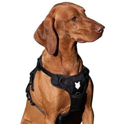 Fenrir Ragnar Dog Harness Black (S)