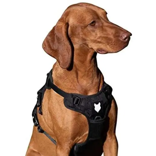 Fenrir Ragnar Dog Harness Black (S) Fenrir Ragnar Dog Harness Black (S)
