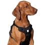 Fenrir Ragnar Dog Harness Black (S)