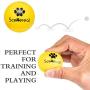 SCENEREAL Floatable Dog Rubber Ball 12 Packs - Floating Fetch Toy - Pet Racquetball 3 Pure Colors Safe Non-Toxic Training Toy for Dogs, High Elastic and Floating on Water, 1.77 Inch in Diameter