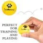 SCENEREAL Floatable Dog Rubber Ball 12 Packs - Floating Fetch Toy - Pet Racquetball 3 Pure Colors Safe Non-Toxic Training Toy for Dogs, High Elastic and Floating on Water, 1.77 Inch in Diameter SCENEREAL Floatable Dog Rubber Ball 12 Packs - Floating Fetch Toy - Pet Racquetball 3 Pure Colors Safe Non-Toxic Training Toy for Dogs, High Elastic and Floating on Water, 1.77 Inch in Diameter