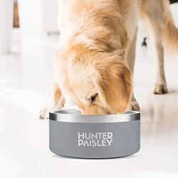 Hunter Paisley Premium Stainless Steel Non-Slip Dog Bowl, Double Walled, 64oz, Holds 8 Cups