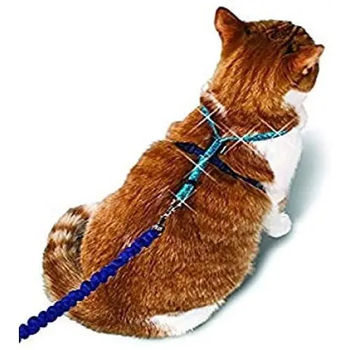 PetSafe Come With Me Kitty Glitter Harness and Bungee Cat Leash PetSafe Come With Me Kitty Glitter Harness and Bungee Cat Leash