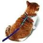 PetSafe Come With Me Kitty Glitter Harness and Bungee Cat Leash PetSafe Come With Me Kitty Glitter Harness and Bungee Cat Leash