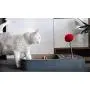 meinno Cheerble Cat Ball, Board Game Keep Your cat Happy, A New 3-in-1 Board Game for Playful Cats, All-in-one Interactive Toy for Cats meinno Cheerble Cat Ball, Board Game Keep Your cat Happy, A New 3-in-1 Board Game for Playful Cats, All-in-one Interactive Toy for Cats
