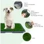 BINGPET Dog Grass Training Potty Pad, with Foldable Tray and Washable Pee Pads, Indoor Home Toilet System Pad, Portable Bathroom Mat for Puppies, Small Medium Doggies