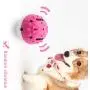 Plastic Bell Ball Pet Playing Ball Toys Two Color Bell Ball Jingle Balls Colorful Ball Toys Hollow Out Round Toys for Pet Cat Dog Parrot Bird Hamster