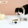 Pawject X Ceramic Cat Bowl for Food or Water, Pet Bowl for Kitten and Cats,Easy to Clean Pet Dish 8 OZ, 1 Pack Green