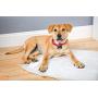 Hartz Home Protection Dog Pads for All Dog Sizes - Super Absorbent and Wont Leak: Odor Eliminating Lavender Scent, Unscented, and Quilted Plus