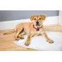 Hartz Home Protection Dog Pads for All Dog Sizes - Super Absorbent and Wont Leak: Odor Eliminating Lavender Scent, Unscented, and Quilted Plus Hartz Home Protection Dog Pads for All Dog Sizes - Super Absorbent and Wont Leak: Odor Eliminating Lavender Scent, Unscented, and Quilted Plus