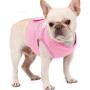 MrLYouth No-Pull Adjustable Pet Vest with Handle,Step in Dog Breathable Vest Harness for Small Medium Size Dog for Outdoor Walking,Pink