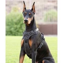 4Knines Dog Harness