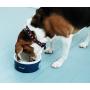 Einstein Designer Pet Dog Cat Ceramic Porcelain Feeding Bowl Food Water Feeder Blue White