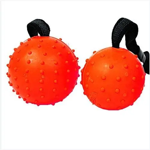 XIHONGSHIR Dog Rubber Balls Chew Toy, Dog Toy Balls with Rope, Pet Healthy and IQ Balls, Environmental Soft Rubber Non Toxic, Teeth Cleaning, Purple (2 Pack),Red,5cm XIHONGSHIR Dog Rubber Balls Chew Toy, Dog Toy Balls with Rope, Pet Healthy and IQ Balls, Environmental Soft Rubber Non Toxic, Teeth Cleaning, Purple (2 Pack),Red,5cm