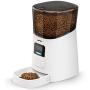 NPET 3L Clear Cat Water Fountain and 6L Large Capacity Automatic Pet Feeder with Timer