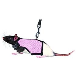 Royal Pet Club Pet Products Soft Harness with Leash-Nylon, Various