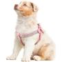 Beirui Soft Suede Rhinestone Leather Dog Harness Leash Set Cat Puppy Sparkly Crystal Vest & 4 ft Lead for Small Medium Cats Pets Chihuahua Poodle Shih Tzu