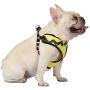 Peanuts for Pets Charlie Brown Yellow Dog Harness, Size Large | Large Striped Dog Harnesses for Large Dogs | No Pull Dog Harness, Dog Apparel & Accessories for All Dogs (FF15723)