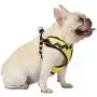 Peanuts for Pets Peanuts Dog Harness Peanuts for Pets Peanuts Dog Harness