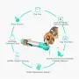 DAPOWER Dog Water Bottle Leak Proof Portable Pet Multifunctional Water Bottle for Outdoor Walking Hiking Travel, BPA Free Food Grade Plastic DAPOWER Dog Water Bottle Leak Proof Portable Pet Multifunctional Water Bottle for Outdoor Walking Hiking Travel, BPA Free Food Grade Plastic