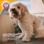 Arm & Hammer for Pets Male Dog Wraps, Size Small, 12 Count | Ultra-Abosorbent, Adjustable Male Dog Diapers with Leak-Proof Protection and Wetness Indicator (FF13881)