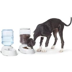 Amazon Basics Gravity Pet Food Feeder and Water Dispensers