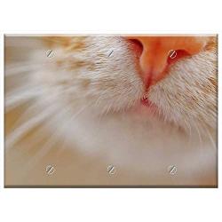 Triple Blank Wall Plate Cover - Cat Nose Snout Pet Domestic Cat Cat Nose Animal