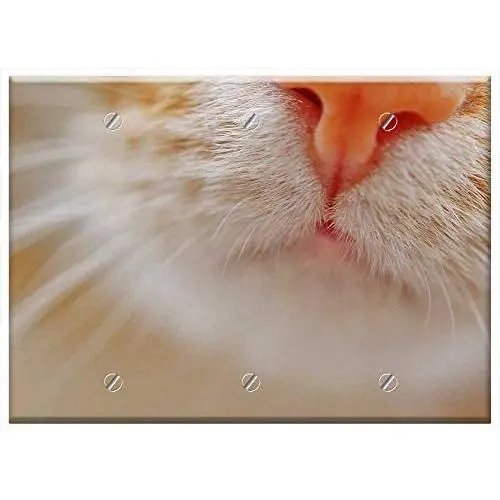 Triple Blank Wall Plate Cover - Cat Nose Snout Pet Domestic Cat Cat Nose Animal Triple Blank Wall Plate Cover - Cat Nose Snout Pet Domestic Cat Cat Nose Animal