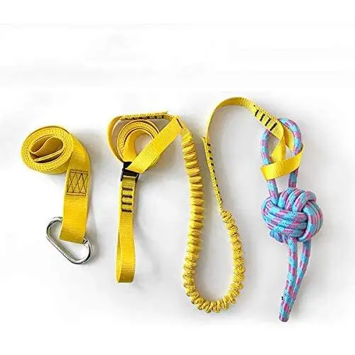 Retractable Interactive Dog Toy for Pitbull & Medium or Large Dogs Puppies, Outdoor Hanging Bungee Exercise Rope Pull & Tug of War Game, Pole Dog Rope Chew Toys Retractable Interactive Dog Toy for Pitbull & Medium or Large Dogs Puppies, Outdoor Hanging Bungee Exercise Rope Pull & Tug of War Game, Pole Dog Rope Chew Toys