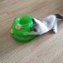 AnHua 1Pcs Random Color Funny Pet Toys Cat Crazy Ball Disc Three Levels Pet Cat Toy Tower Tracks Disc Cat Intelligence Amusement Toy