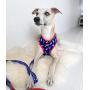 Pet Pooch Boutique Bojangles Pizza Dog Harness, 200 g, Size M, Blue