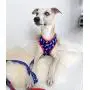 Pet Pooch Boutique Bojangles Pizza Dog Harness, 200 g, Size M, Blue