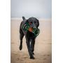 Pets First NCAA Football Field Dog Toy with Squeaker. - Oklahoma State Cowboys - for Tug, Toss, and Fetch. - Tough & Durable PET Toy