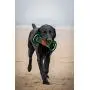 Pets First NCAA Football Field Dog Toy with Squeaker. - Oklahoma State Cowboys - for Tug, Toss, and Fetch. - Tough & Durable PET Toy Pets First NCAA Football Field Dog Toy with Squeaker. - Oklahoma State Cowboys - for Tug, Toss, and Fetch. - Tough & Durable PET Toy