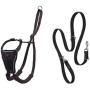 Halti No Pull Harness and Training Lead Combination Pack
