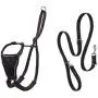 Halti No Pull Harness and Training Lead Combination Pack Halti No Pull Harness and Training Lead Combination Pack