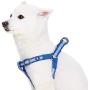 Blueberry Pet Essentials 4 Colors Step-in Reflective Back to Basics Dog Harnesses