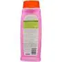 Hartz Groomers Best 3 in 1 Conditioning Shampoo for Dogs 18 oz (Pack of 3) Hartz Groomers Best 3 in 1 Conditioning Shampoo for Dogs 18 oz (Pack of 3)