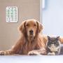 Keegud DIY Pet Feeding Reminder，Did You Feed The Dog/Cat/Fish/Pet/Your Kid? Did You Take Your Medicine? 3 Times A Day Reminder for Puppy/Kids/Old People