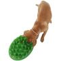 Green Interactive Feeder