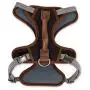 Reddy Black Dog Harness, XX-Large/3X-Large Reddy Black Dog Harness, XX-Large/3X-Large