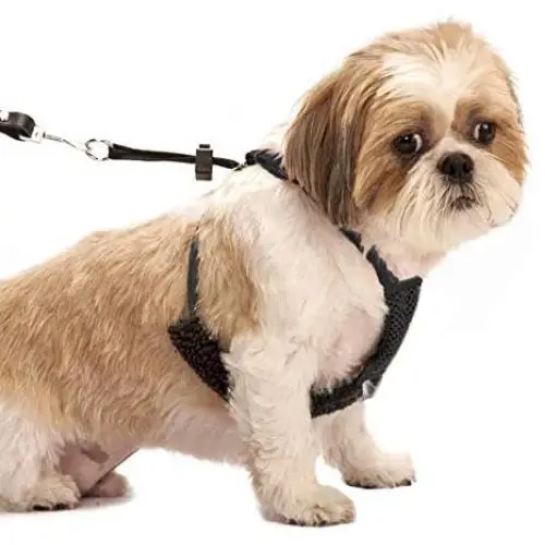Dog Harness - No pull and No choke humane Design, Non Pulling Pet Harness with Mesh vest, Easy Step-in Adjustable Mesh Harness for control, Patented Dog Pull Control Technology by Sporn Dog Harness - No pull and No choke humane Design, Non Pulling Pet Harness with Mesh vest, Easy Step-in Adjustable Mesh Harness for control, Patented Dog Pull Control Technology by Sporn