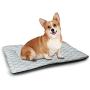 DayDayFun Vintage Airplane Pet Training Mat Collection of Various Biplanes Nostalgic Antique Silhouettes Print Pet Mats are Not Sticky Red White Black
