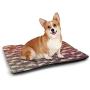 DayDayFun Pearls Pet Sleeping Mat Various Size Mixed Rare Nacreous Pearls Gemstone Oyster Concept Golden Ombre Pattern Housebreaking Absorption Pads Brown