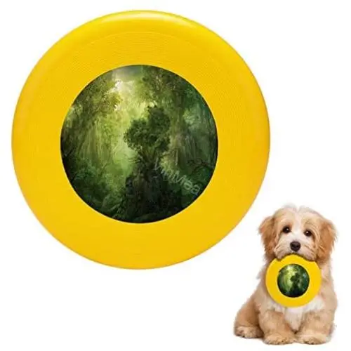 Pet Frisbee Flying Disc Dog Toy - Multifunction Llanowar Reborn Philip Straub