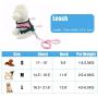 Soft Mesh Dog Harness Vest, Small Dog Harness, Night Reflective Adjustable Mesh Harness with Padded Vest and Leash（Pink）