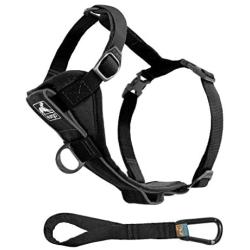 Kurgo Tru-Fit Smart Harness, Dog Harness, Pet Walking Harness, Quick Release Buckles, Front D-Ring for No Pull Training, Includes Dog Seat Belt Tether, For Small, Medium, & Large Dogs.