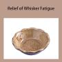 Jemirry Basic Cat Food Bowl, Wide Cat Dish, Ceramic Cat Food Bowl for Relief of Whisker Fatigue, Pet Food & Water Bowls Set of 2