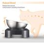 Vekonn Elevated Cat Bowl, Cat and Small Dog Food Bowl Stand, Stainless Steel Cat Food Bowl, Healthy Eating Posture and Ergonomics for Pets, Non Slip No Spill